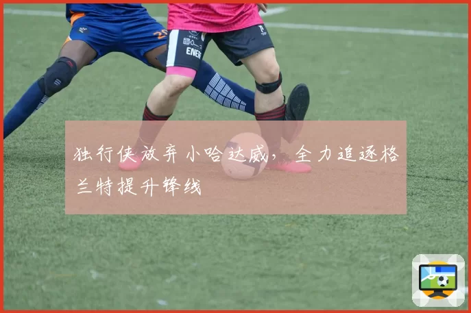 独行侠放弃小哈达威,全力追逐格兰特提升锋线