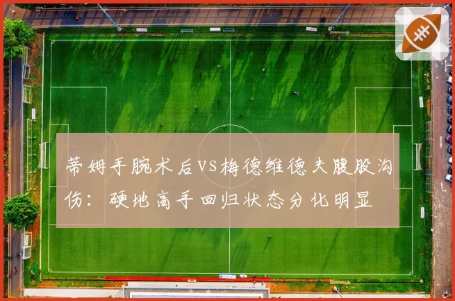蒂姆手腕术后vs梅德维德夫腹股沟伤：硬地高手回归状态分化明显