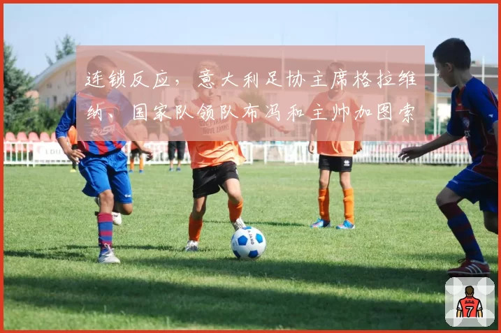 连锁反应,意大利足协主席格拉维纳、国家队领队布冯和主帅加图索一天内相继离任